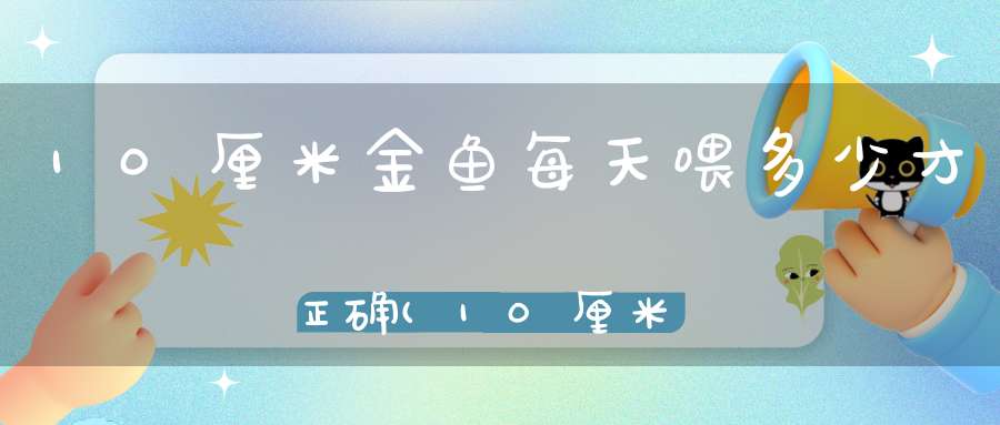 10厘米金鱼每天喂多少才正确(10厘米长的金鱼几天喂一次一次喂几粒)