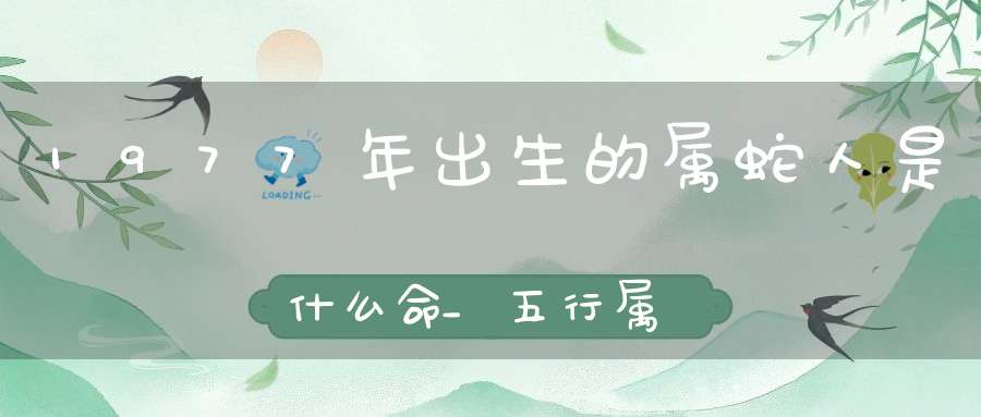 1977年出生的属蛇人是什么命_五行属什么