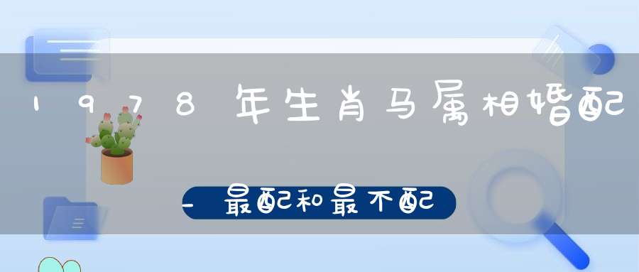 1978年生肖马属相婚配_最配和最不配分别是谁