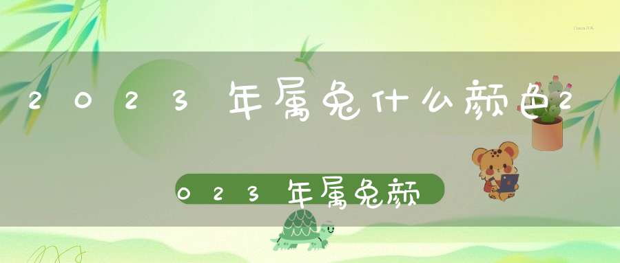 2023年属兔什么颜色2023年属兔颜色最旺(属兔的穿什么衣服最旺)