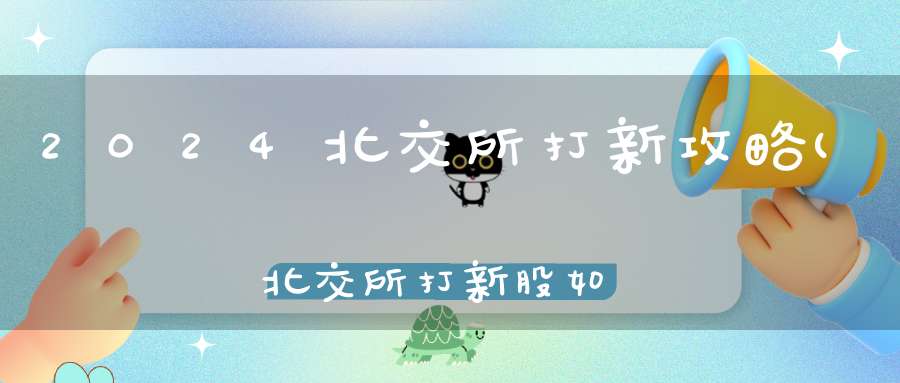 2024北交所打新攻略(北交所打新股如何操作)