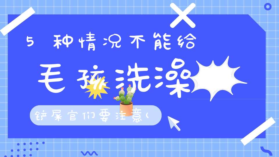 5种情况不能给毛孩洗澡铲屎官们要注意(宠物什么情况下不能洗澡)