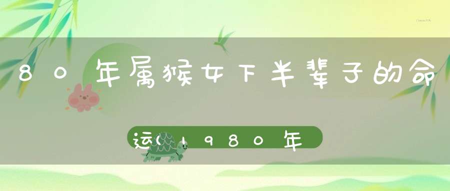 80年属猴女下半辈子的命运(1980年属猴女一生命运1980属猴女的一生婚姻)