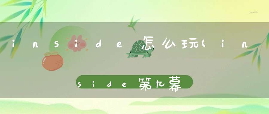 inside怎么玩(inside第九幕攻略)