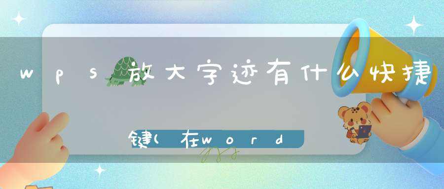 wps放大字迹有什么快捷键(在word中把字放大的快捷键是什么啊)