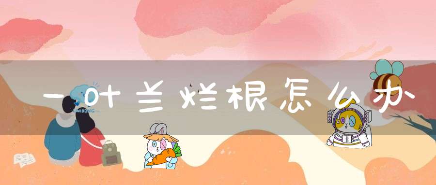 一叶兰烂根怎么办