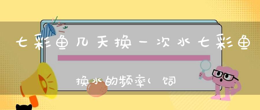 七彩鱼几天换一次水七彩鱼换水的频率(饲养七彩神仙鱼注意什么)