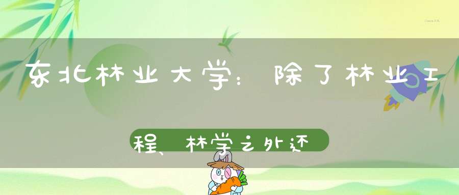 东北林业大学：除了林业工程、林学之外还有哪些特色学科专业