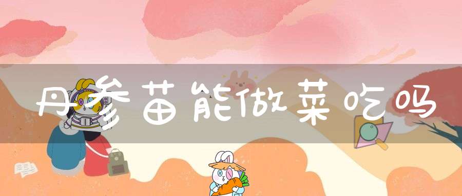 丹参苗能做菜吃吗