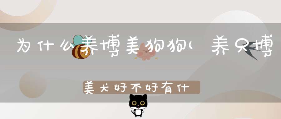 为什么养博美狗狗(养只博美犬好不好有什么优点)