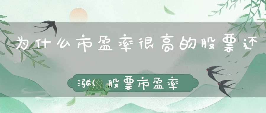 为什么市盈率很高的股票还涨(股票市盈率高说明什么)