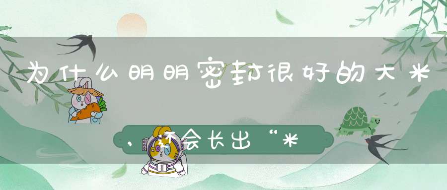 为什么明明密封很好的大米,还会长出“米虫”