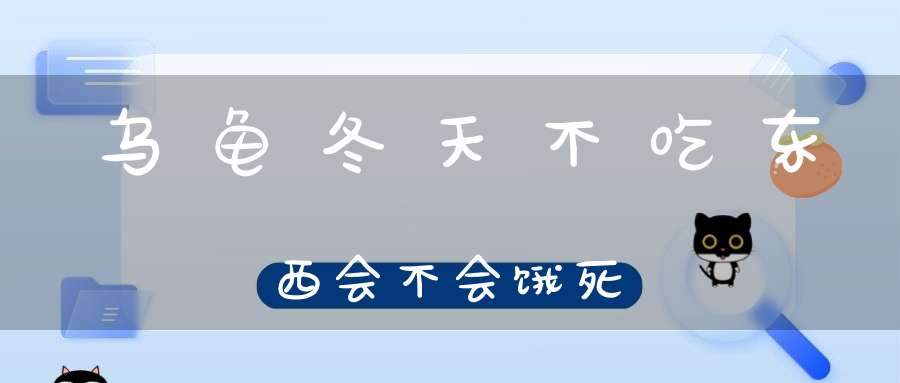 乌龟冬天不吃东西会不会饿死