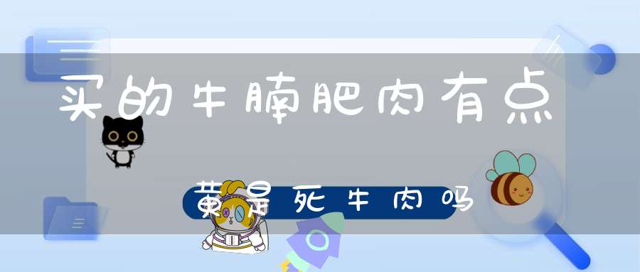 买的牛腩肥肉有点黄是死牛肉吗