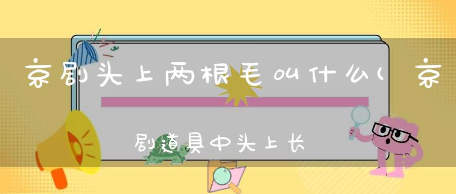 京剧头上两根毛叫什么(京剧道具中头上长长的两个羽毛叫做什么)