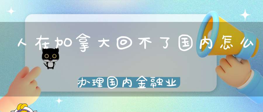 人在加拿大回不了国内怎么办理国内金融业务