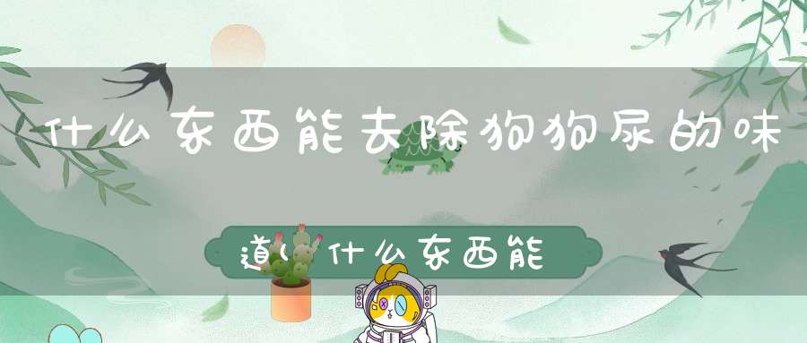 什么东西能去除狗狗尿的味道(什么东西能去除狗尿味)