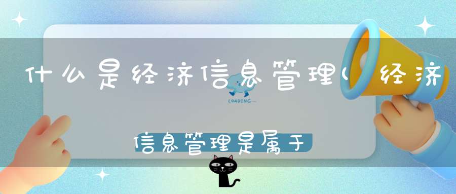 什么是经济信息管理(经济信息管理是属于管理类专业还是计算机专业)