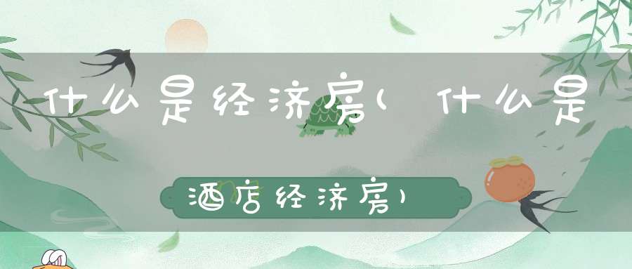 什么是经济房(什么是酒店经济房)