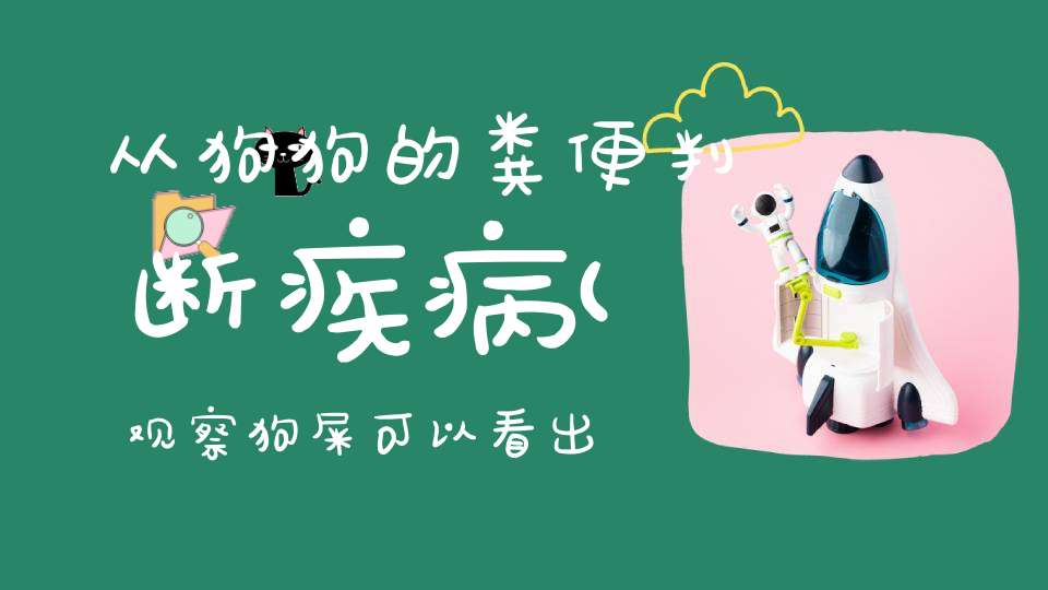 从狗狗的粪便判断疾病(观察狗屎可以看出很多狗狗的健康信息吗)