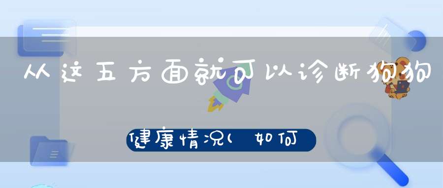 从这五方面就可以诊断狗狗健康情况(如何判断一只小狗是健康的)