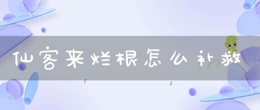 仙客来烂根怎么补救