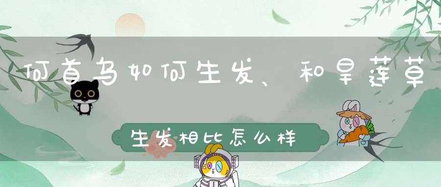 何首乌如何生发、和旱莲草生发相比怎么样