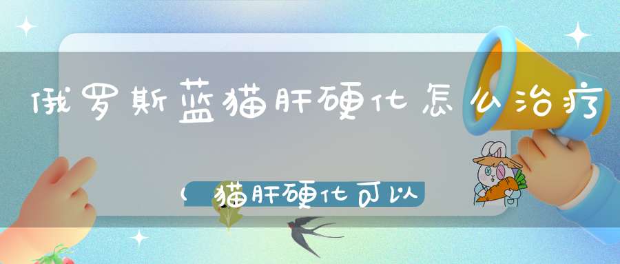 俄罗斯蓝猫肝硬化怎么治疗(猫肝硬化可以治愈吗病因和用药有哪些)