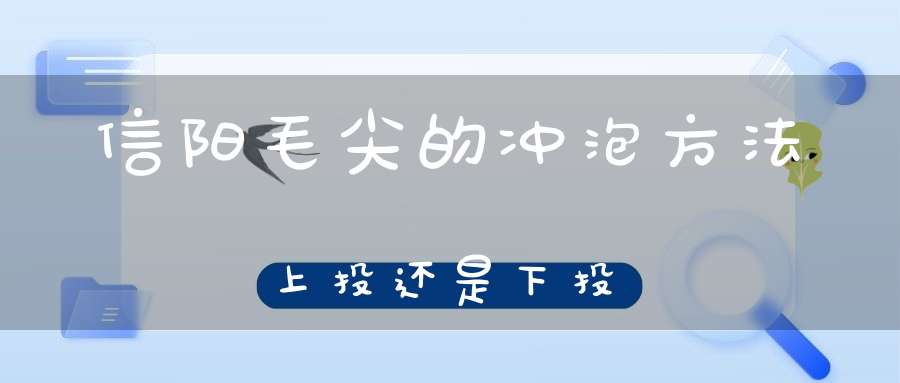 信阳毛尖的冲泡方法上投还是下投