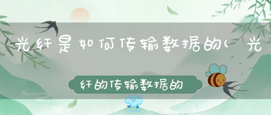 光纤是如何传输数据的(光纤的传输数据的多少是根什么有关系)