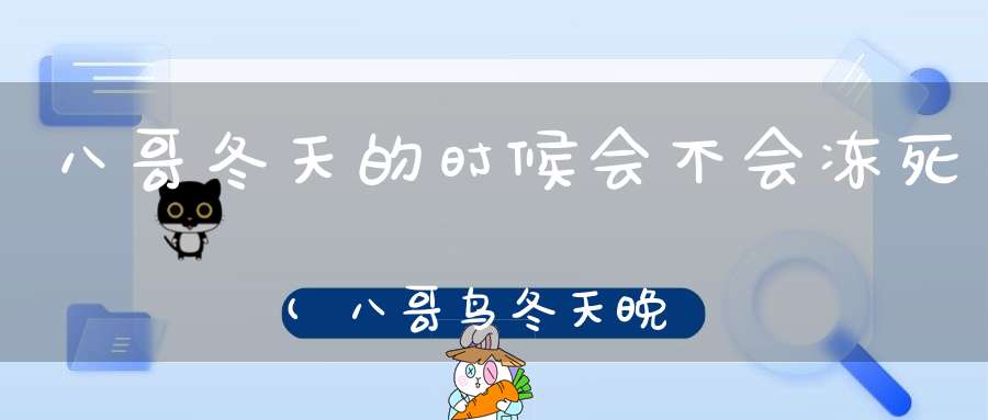 八哥冬天的时候会不会冻死(八哥鸟冬天晚上放在外面会不会死掉。。)