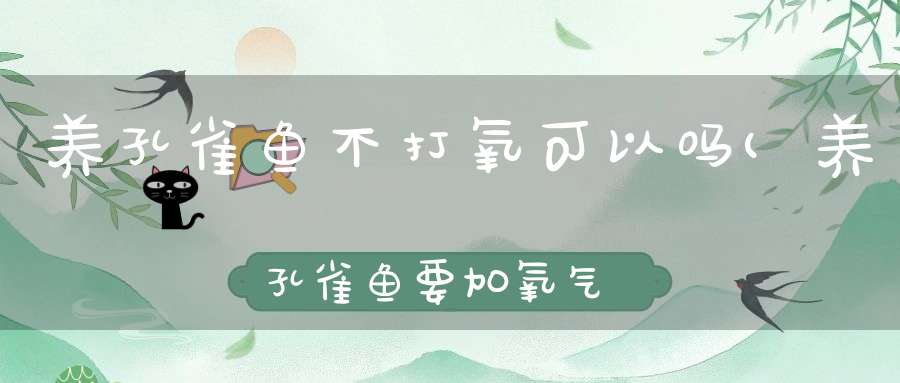 养孔雀鱼不打氧可以吗(养孔雀鱼要加氧气吗谢谢了。。。。)