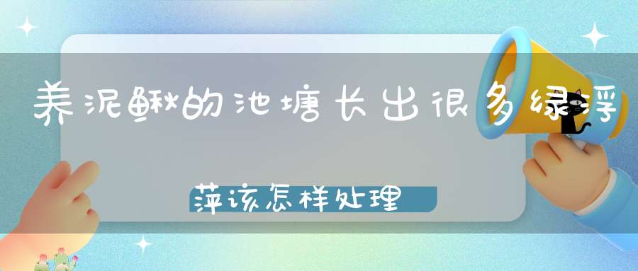 养泥鳅的池塘长出很多绿浮萍该怎样处理