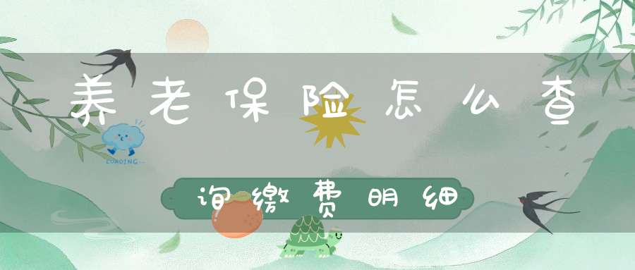 养老保险怎么查询缴费明细