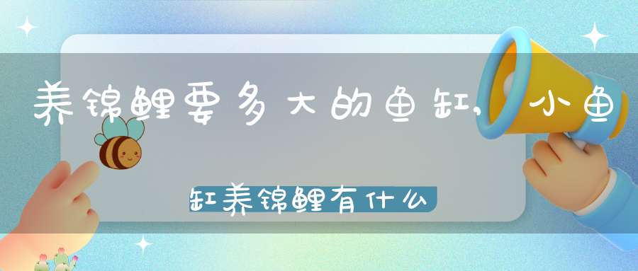 养锦鲤要多大的鱼缸,小鱼缸养锦鲤有什么坏处(养锦鲤鱼多大的缸合适)