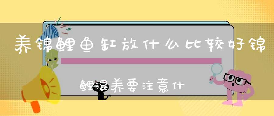 养锦鲤鱼缸放什么比较好锦鲤混养要注意什么