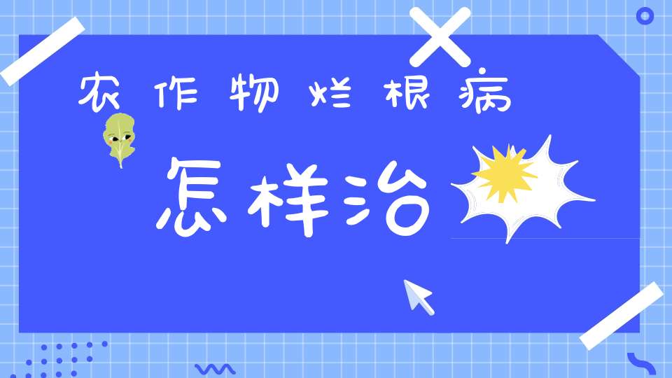 农作物烂根病怎样治