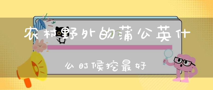 农村野外的蒲公英什么时候挖最好