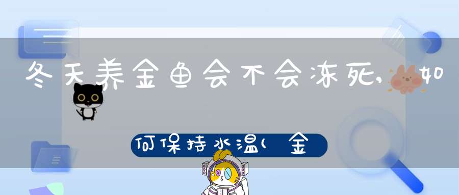 冬天养金鱼会不会冻死,如何保持水温(金鱼多少度会冻死冬天怎么养)