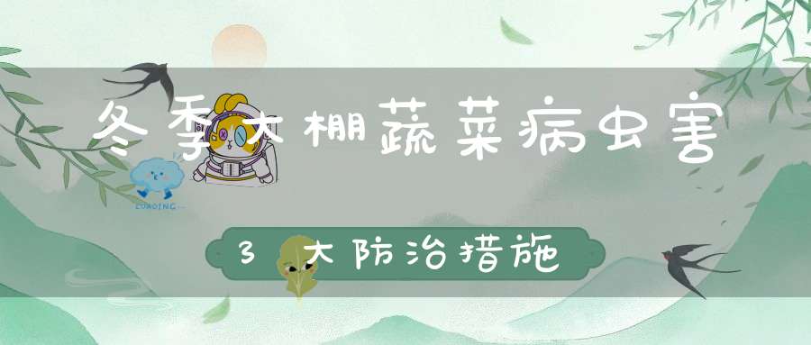 冬季大棚蔬菜病虫害3大防治措施