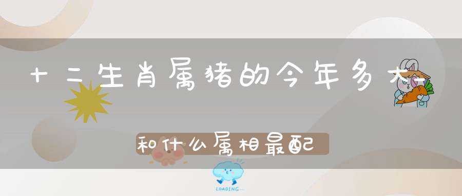 十二生肖属猪的今年多大_和什么属相最配_属猪的人几月出生最好