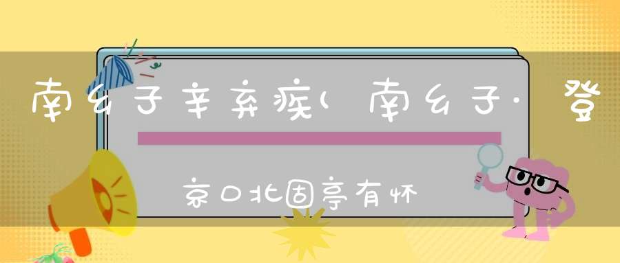 南乡子辛弃疾(南乡子·登京口北固亭有怀翻译及赏析是什么)