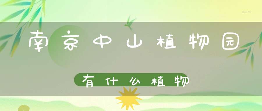 南京中山植物园有什么植物