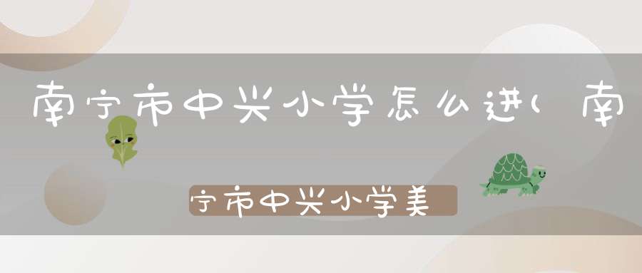 南宁市中兴小学怎么进(南宁市中兴小学美景的作文35o字)