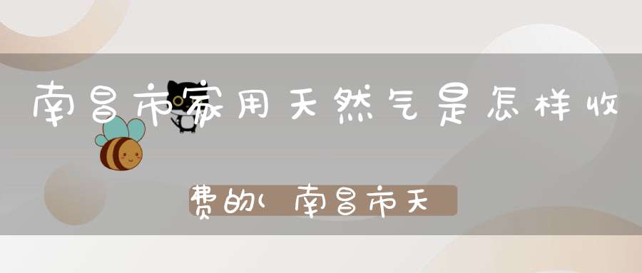 南昌市家用天然气是怎样收费的(南昌市天然气2022收费标准)