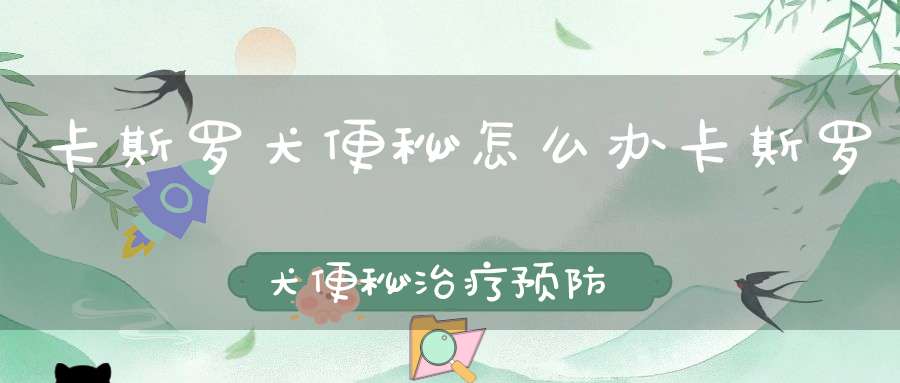 卡斯罗犬便秘怎么办卡斯罗犬便秘治疗预防方法