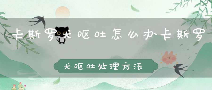 卡斯罗犬呕吐怎么办卡斯罗犬呕吐处理方法