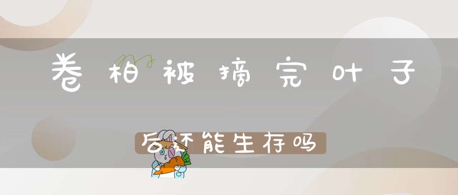 卷柏被摘完叶子后还能生存吗