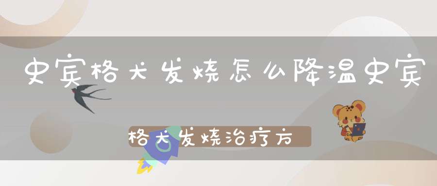 史宾格犬发烧怎么降温史宾格犬发烧治疗方法(史宾格犬如何训练)