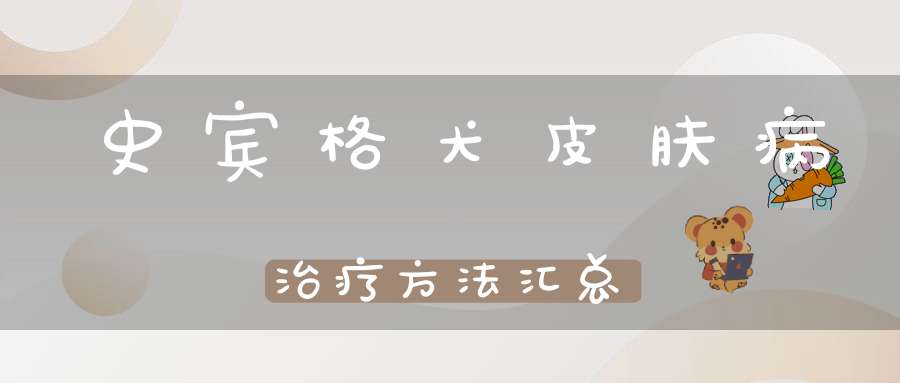 史宾格犬皮肤病治疗方法汇总